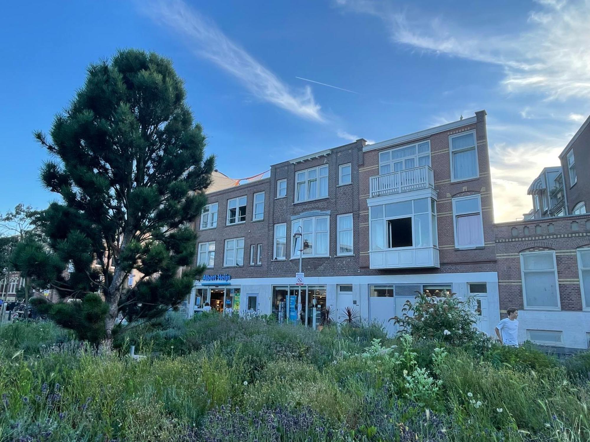 Appartement Seepaardje La Haya Exterior foto